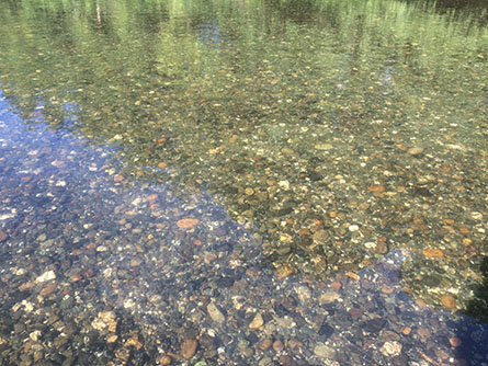 Construction Site Salmonid Redd Monitoring