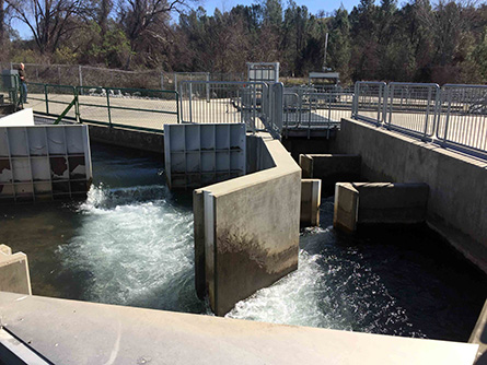 Coleman National Fish Hatchery